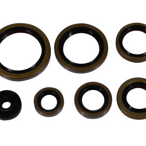 Set simeringuri motor KTM EXC 250/300 '17-'23 TPI (P400270400083) Enduro Expert 8023EE