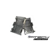 Protectii rediator Beta 2T RR 250/300 '13-'19/4T RR/RS 350-500 '13-'19 P-TECH RKK006