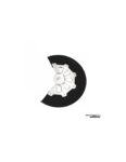 Protectie disc frana fata Beta RR 2T 250/300 '19-'22 P-TECH EPK007
