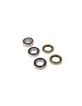 Rulmenti roata spate Sherco SE-R 250/300 '12-'19 Enduro Expert 75001C01EE