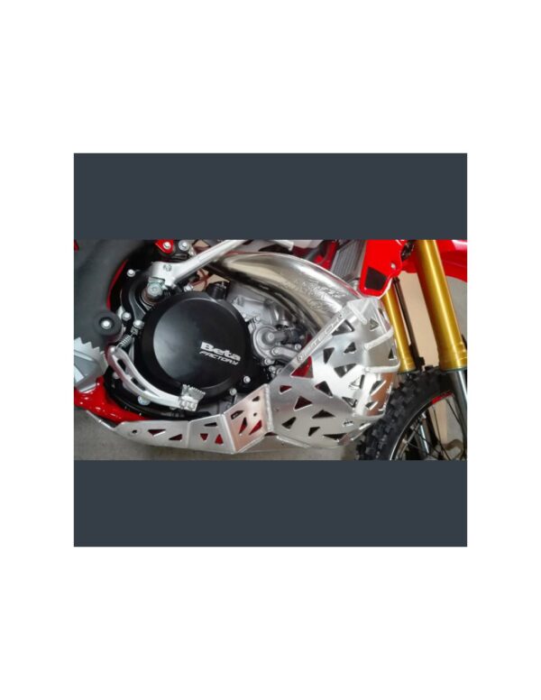 Scut motor cu protectie rezonator Beta RR 250/300 '13-'19 P-TECH PK002