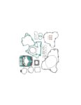 Set complet garnituri KTM EXC 250/300 '17-'21 (808976) Enduro Expert EE-80601