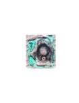 Set garnituri Top-End Beta 250/300 RR 2T '13-'24 (P400060600011) Enduro Expert EE-BETA33