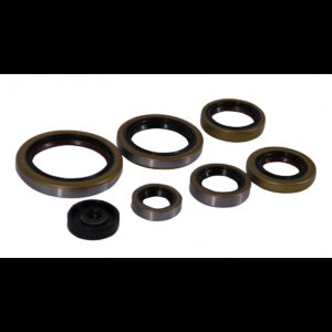 Set-simeringuri-motor-KTM-EXC-250-300-17-23-TPI-P400270400083-Enduro-Expert-8023EE