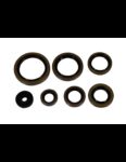 Set simeringuri motor KTM EXC 250/300 '17-'23 TPI (P400270400083) Enduro Expert 8023EE
