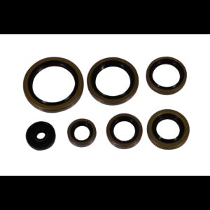 Set simeringuri motor KTM EXC 250/300 '17-'23 TPI (P400270400083) Enduro Expert 8023EE