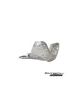 Scut motor cu protectie rezonator/linkage Gas Gas GP Enduro 200/300 '18-'20 P-Tech PK012G