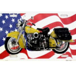 Funny Plates - Placuta metalica [30x15cm] USA Flag Indian