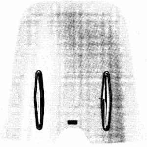 PARBRIZ MOPED CU PRINDERI