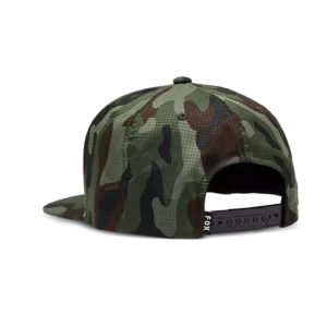 31635031-2-webp_Ss3sZ_1740564339