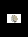 Capac ambreiaj KTM EXC/XC-W 250/300 '24-'26/Husqvarna TE 250/300 '24-'26 P-TECH SK019